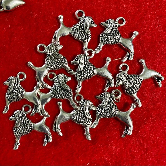 Charms Bundle - Picture 7 of 10